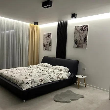 Penthouse Apartment Timisoara